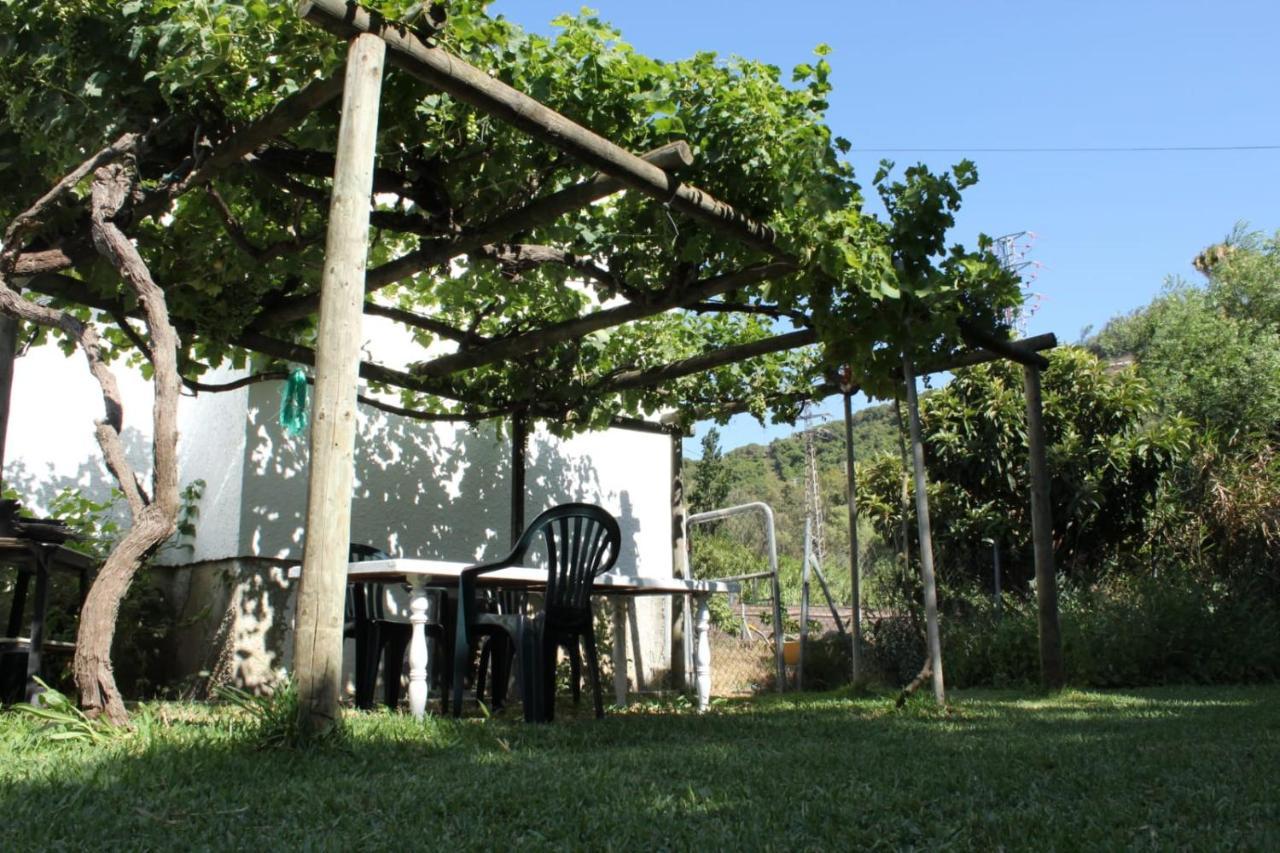 Casa La Maceta Villa กาดิซ ภายนอก รูปภาพ